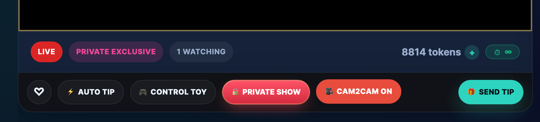 The cam2cam toggle in the viewer's action bar during an Exclusive Private.