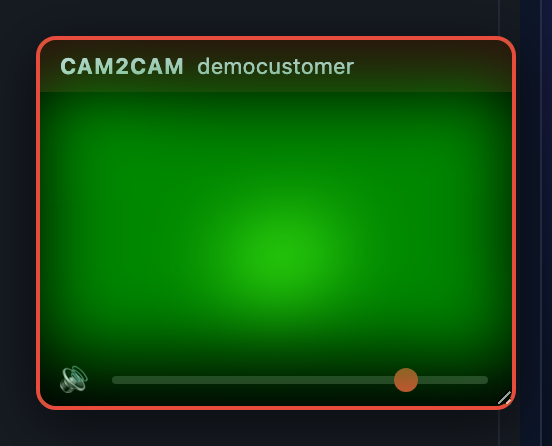 The cam2cam window in your studio: viewer video, name and volume slider.