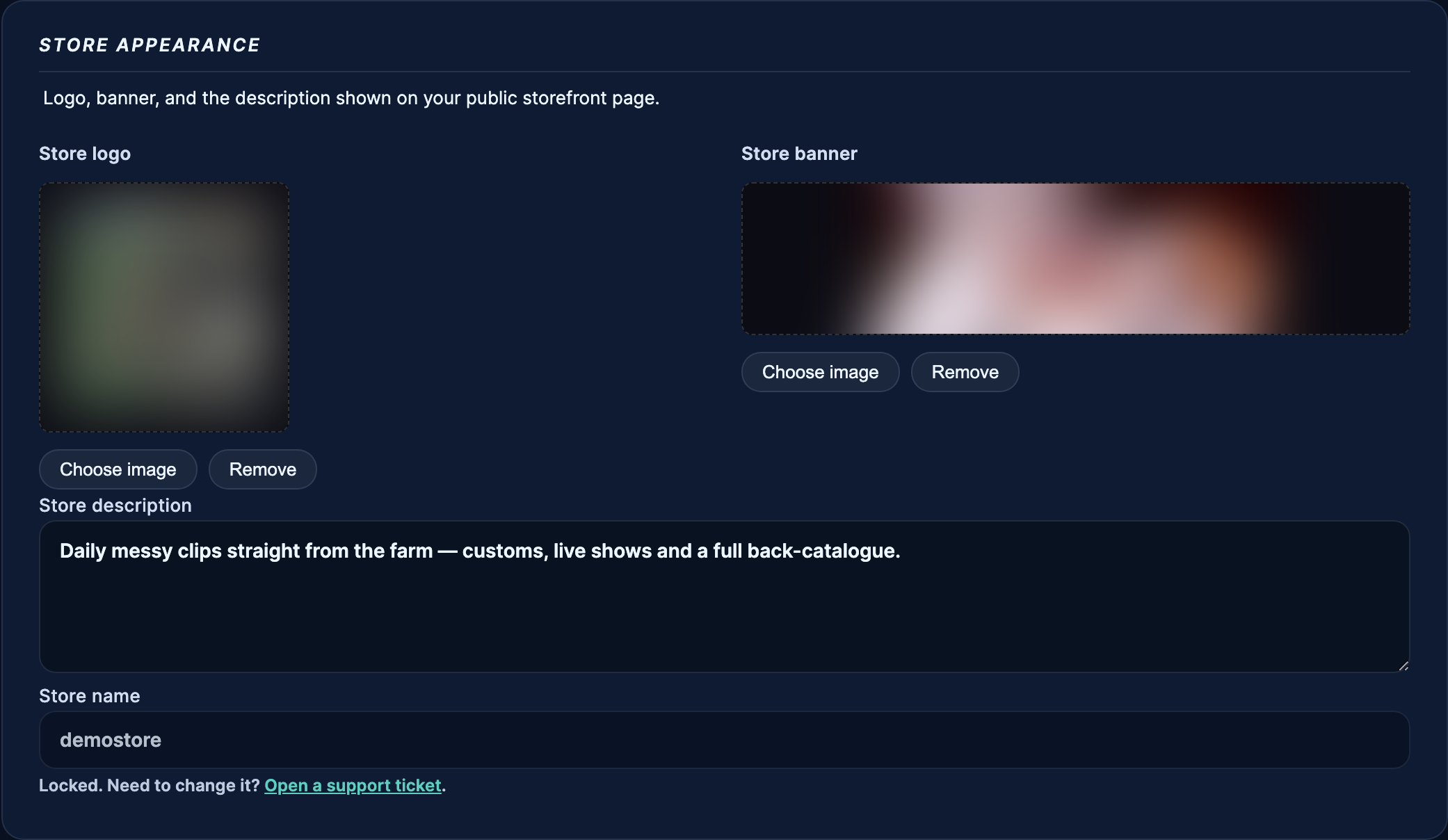 Store appearance — logo and banner pickers, the description, and the locked store name.