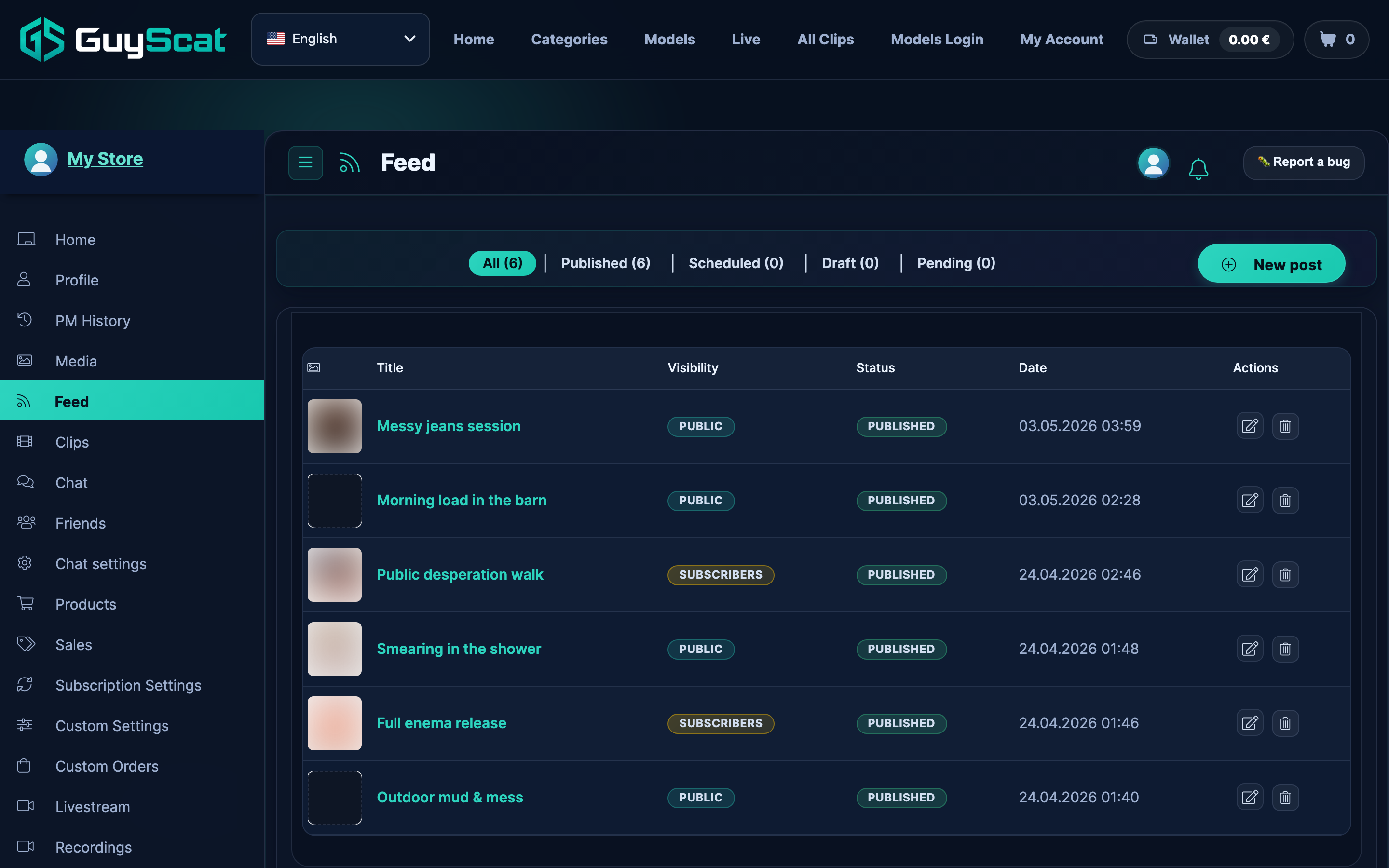 Your Feed in the store manager — the list of posts, with the Add New button highlighted