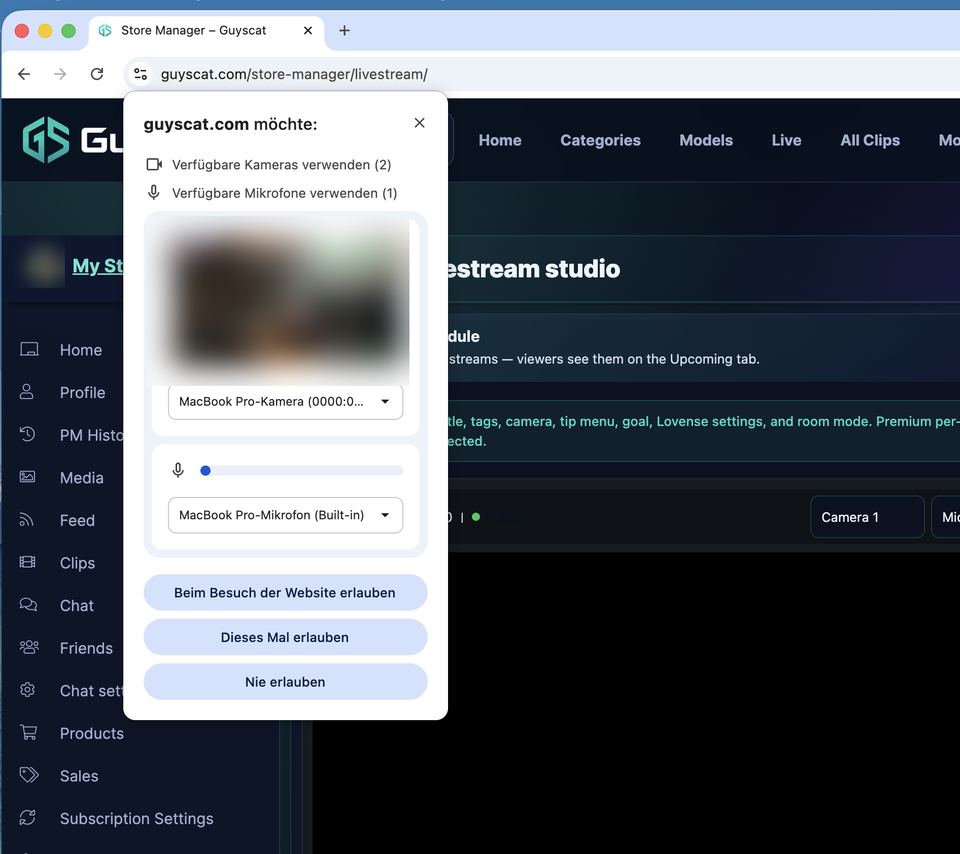 The camera + microphone permission prompt (shown in your browser's language) — click Allow on every visit.