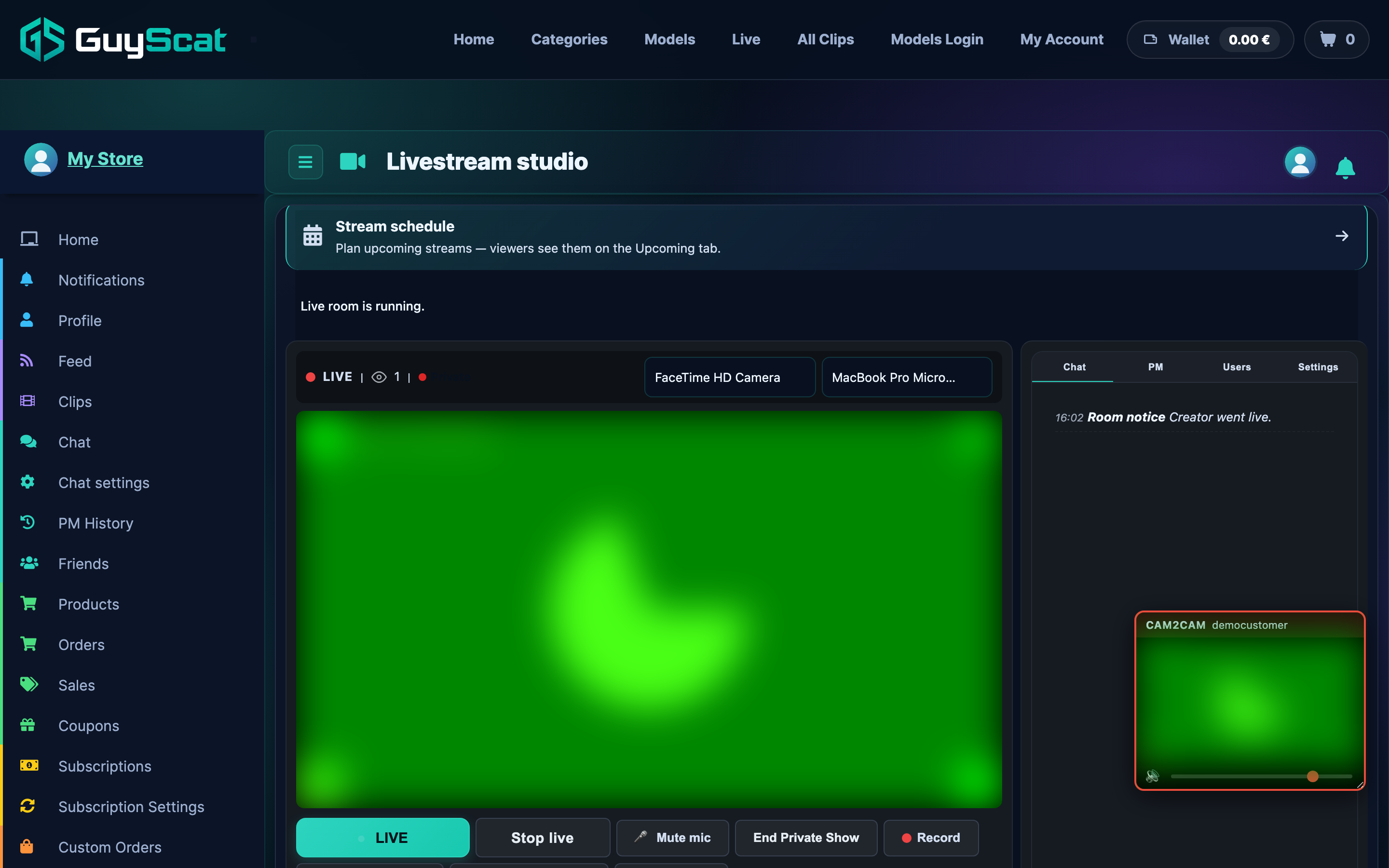 The studio during an Exclusive Private — the viewer's cam2cam appears as a floating window.