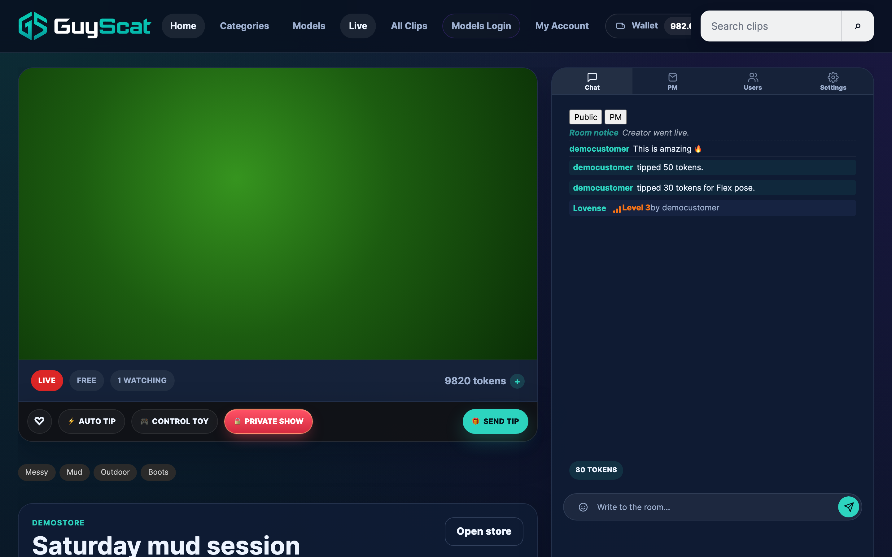 A free room: stream, chat sidebar, Send Tip button and the active tip goal.