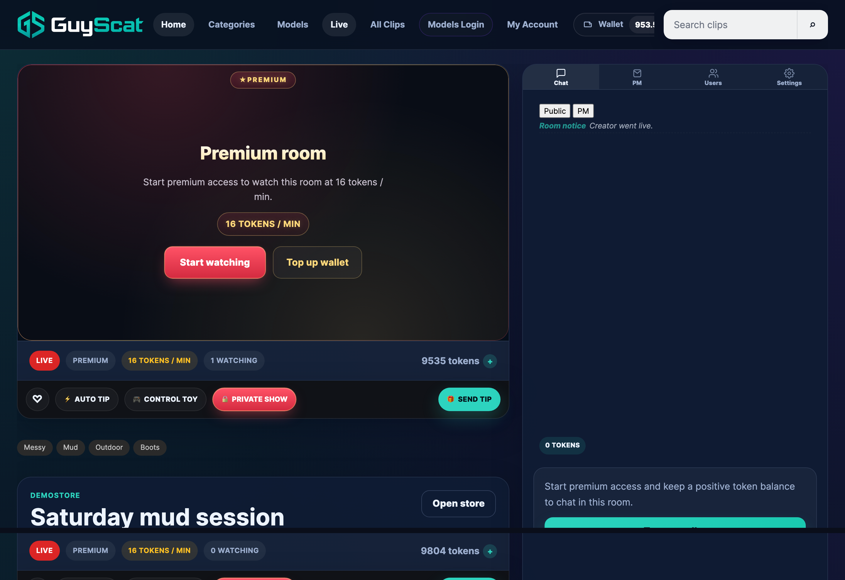The premium gate shows the per-minute rate before you join — inside, the rate pill and your token balance track the meter.