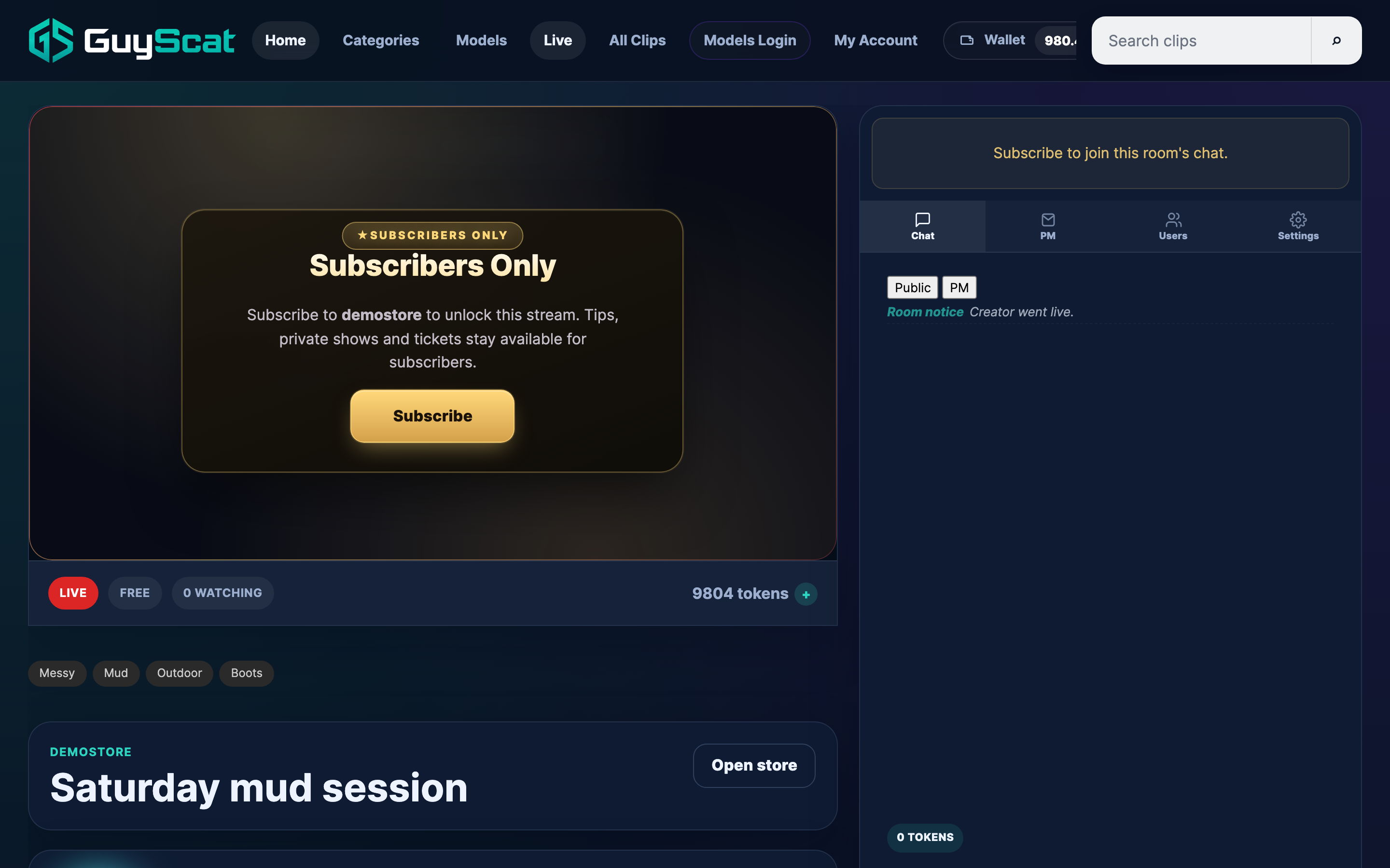 A subscribers-only room stays locked until you subscribe to the creator.