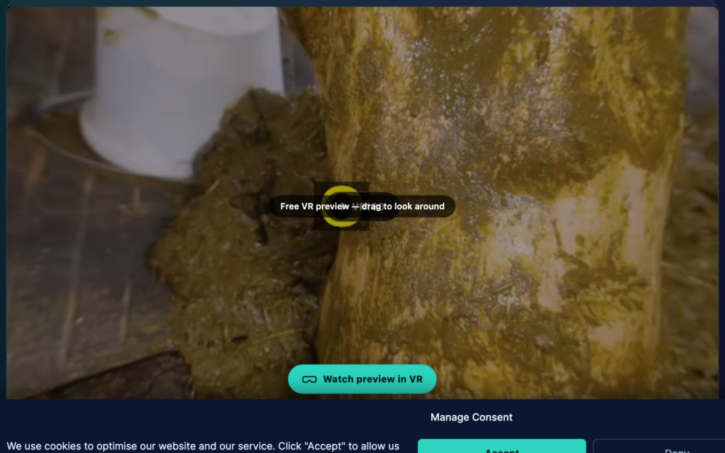 The player built into the site. The glasses icon switches to the split view you need for a cardboard holder.