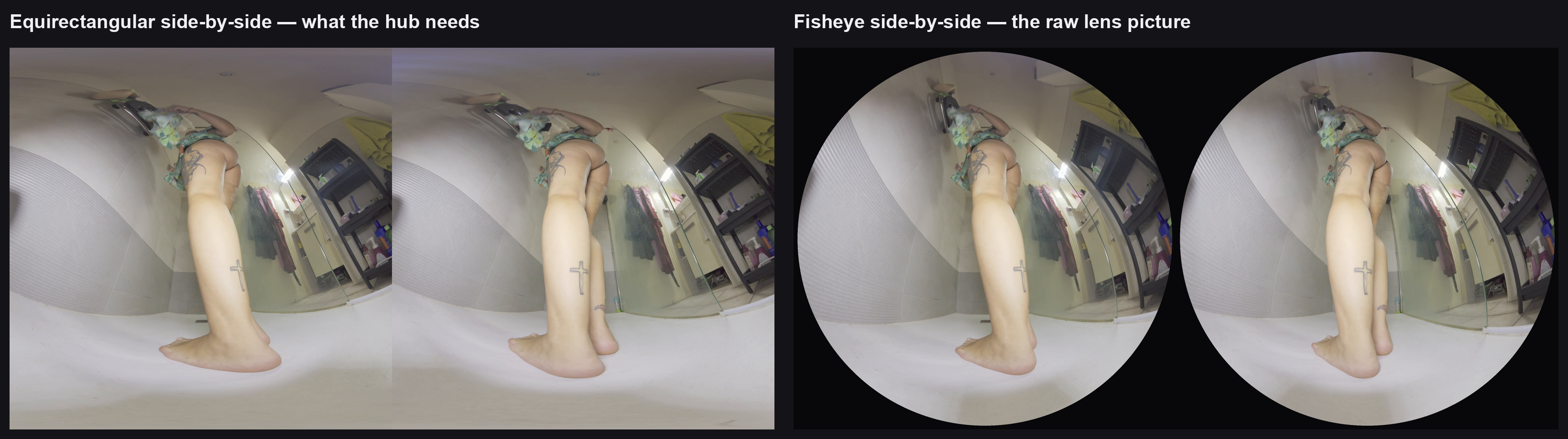 Side-by-side equirectangular picture next to the raw fisheye picture of the same scene.