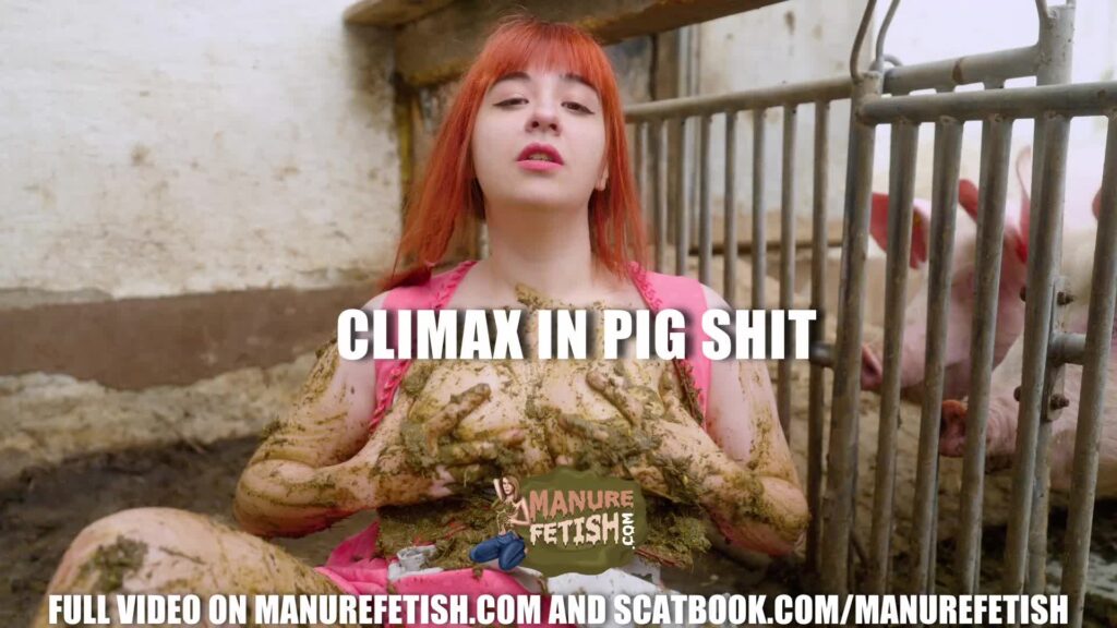 trailerautogeneratortest