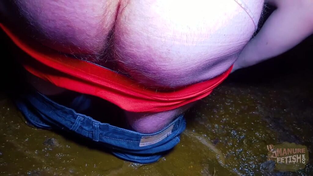 Anal Manure Fun