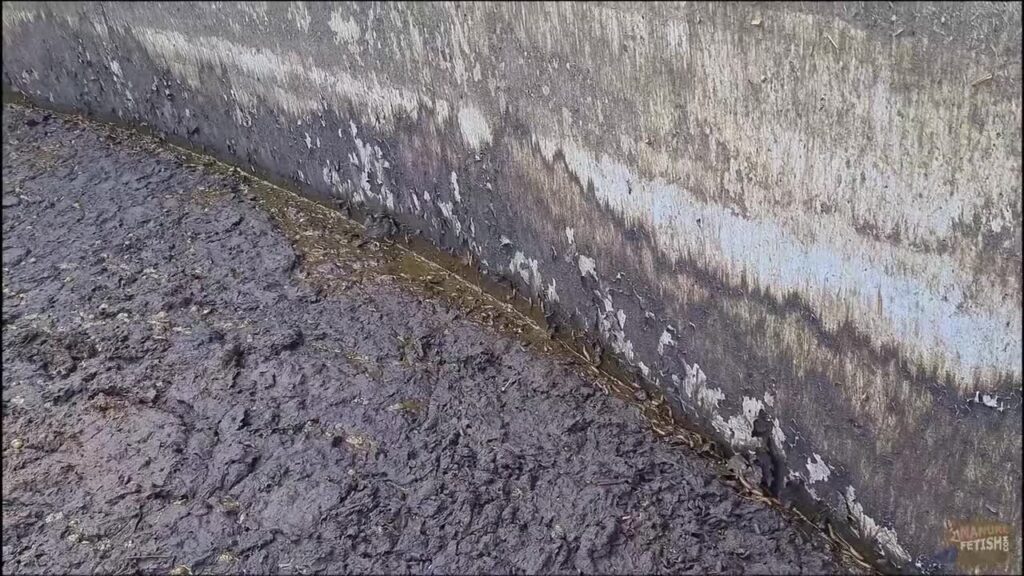 Manure Pit Anniversary